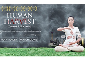Image for article Le film « Human Harvest » remporte le prestigieux prix Peabody