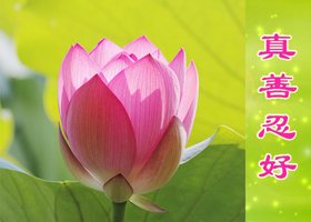 Image for article Le Falun Dafa m'enseigne à faire toujours ce qui est juste