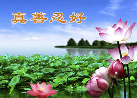 Image for article Le Fahui en Chine continentale encourage les pratiquants de l'étranger à être diligents dans leur cultivation