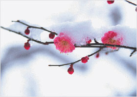 Image for article « Parce que le Falun Gong touche les cœurs ! »