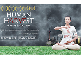 Image for article Une chaîne de télévision allemande met en onde le documentaire « Human Harvest »