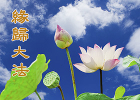 Image for article Une jeune mère : le Falun Dafa est mon destin