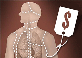 Image for article Italie : Les prélèvements forcés d'organes en Chine font l'objet de critiques lors du Sommet sur le trafic d'organes