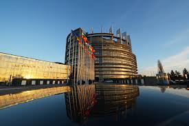 Image for article  Le Parlement européen passe une déclaration écrite demandant que des mesures soient prises pour mettre fin aux prélèvements d'organes en Chine