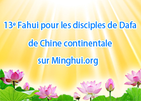 Image for article Fahui de Minghui | La puissance extraordinaire du Falun Dafa (1ère partie de 2)