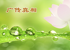 Image for article Dix années de Minghui ont apporté la lumière et la sagesse dans le monde entier