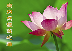 Image for article [Célébrer la Journée mondiale du Falun Dafa] Les expériences de cultivation d'une infirmière