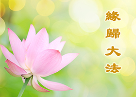 Image for article Un chercheur regarde de plus près le Falun Gong et commence à pratiquer