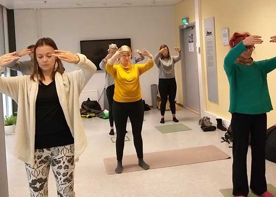 Image for article Des visiteurs d’un Salon de la Santé en Finlande apprennent les exercices du Falun Gong