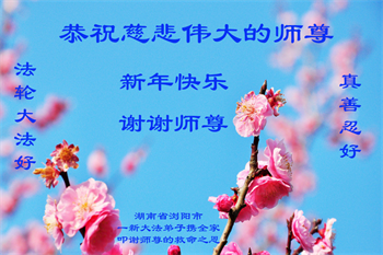 Image for article Les gens qui bénéficient du Falun Dafa souhaitent respectueusement à son fondateur, Maître Li, un bon Nouvel An chinois