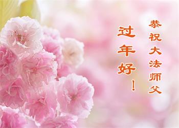Image for article Une chinoise de 74 ans : Bon Nouvel An chinois, Maître Li, vous m'avez sauvé la vie