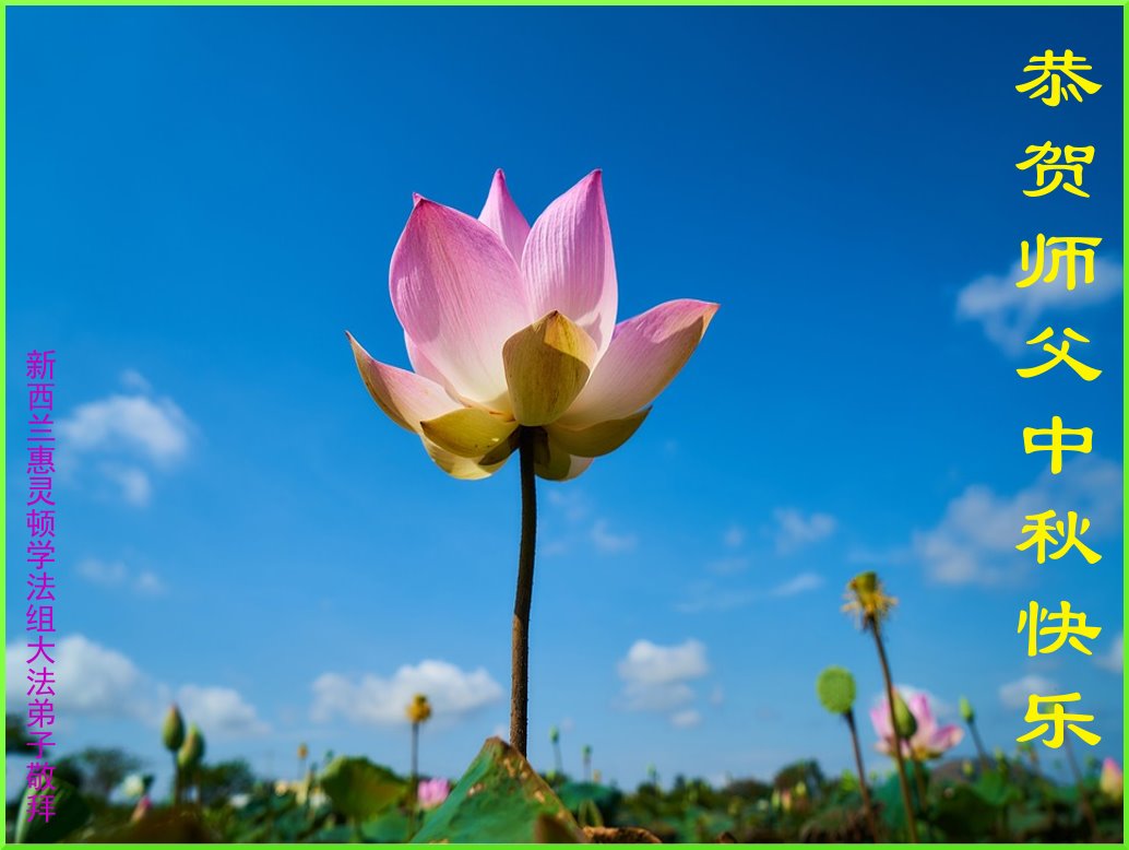 Image for article Les pratiquants de Falun Dafa d'Australie et de Nouvelle-Zélande souhaitent respectueusement à Maître Li Hongzhi une joyeuse fête de la Mi-Automne (8 vœux)