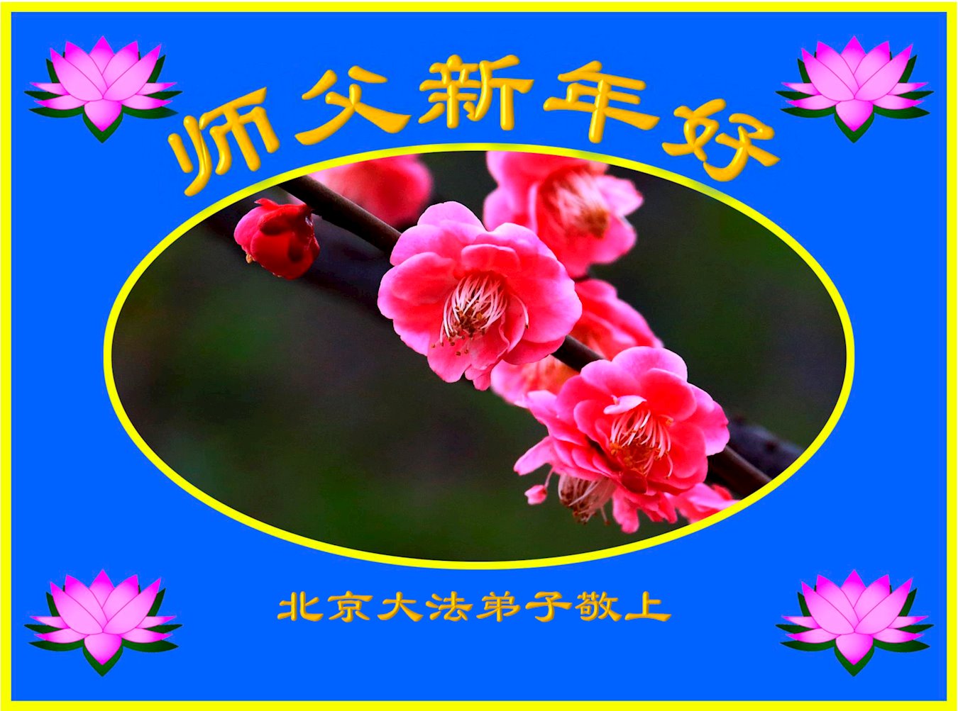 Image for article Les pratiquants de Falun Dafa de Tianjin souhaitent respectueusement au vénérable Maître Li Hongzhi un bon Nouvel An chinois ! (20 vœux)