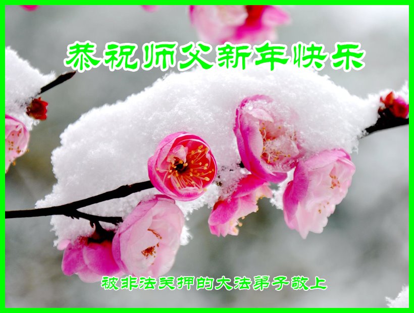 Image for article Les pratiquants de Falun Dafa toujours détenus pour leur croyance souhaitent respectueusement à Maître Li Hongzhi un bon Nouvel An chinois (20 vœux)