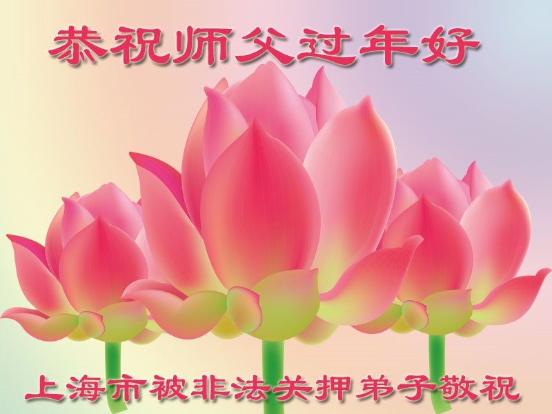 Image for article Les pratiquants de Falun Dafa encore détenus pour leur croyance souhaitent respectueusement au vénérable Maître Li Hongzhi un bon Nouvel An chinois ! 