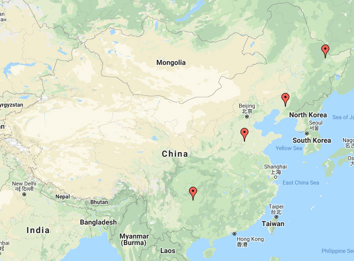 Image for article Informations supplémentaires en provenance de Chine concernant la persécution – 4 février 2020 (4 rapports)