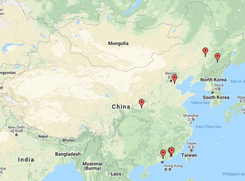 Image for article Informations supplémentaires en provenance de Chine concernant la persécution – 19 février 2020 (7 rapports)