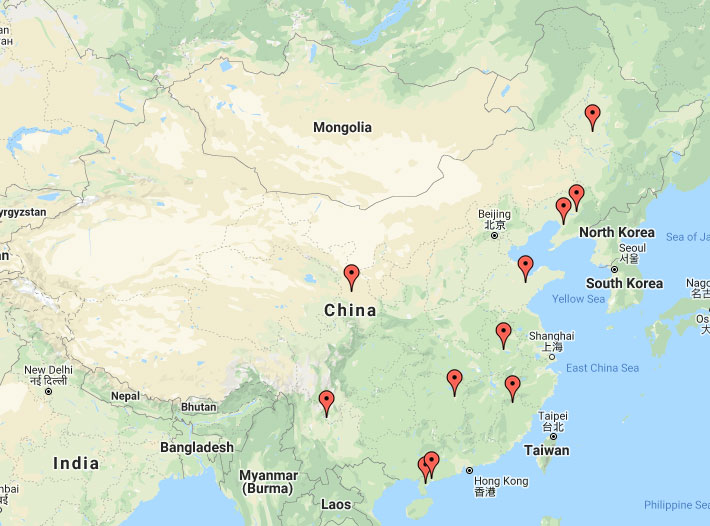 Image for article Informations supplémentaires en provenance de Chine concernant la persécution – 2 avril 2020 (18 rapports)