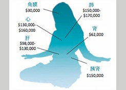 Image for article American Journal of Transplantation : Prélèvements forcés d’organes en Chine