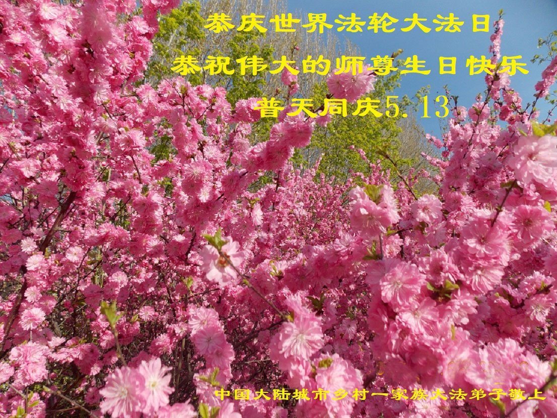 Image for article Les pratiquants de Falun Dafa des régions rurales célèbrent la Journée mondiale du Falun Dafa et souhaitent respectueusement au vénérable Maître un joyeux anniversaire (19 vœux)