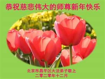 Image for article Les pratiquants de Falun Dafa de Pékin souhaitent respectueusement au vénérable Maître Li Hongzhi une Bonne et Heureuse Année ! (29 vœux)