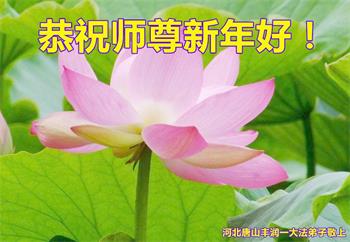 Image for article Les pratiquants de Falun Dafa de la ville de Tangshan souhaitent respectueusement au vénérable Maître Li Hongzhi une Bonne et Heureuse Année ! (24 vœux)