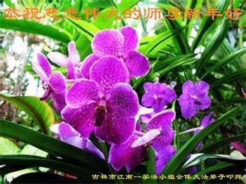 Image for article Les pratiquants de Falun Dafa de la ville de Jilin souhaitent respectueusement au vénérable Maître Li Hongzhi une Bonne et Heureuse Année ! (21 vœux)