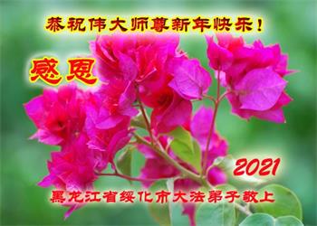 Image for article Les sympathisants du Falun Dafa envoient au vénérable Maître leurs vœux de Bonne et Heureuse Année pour le remercier