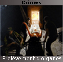Image for article Le processus des prélèvements forcés d'organes révélé par un témoin