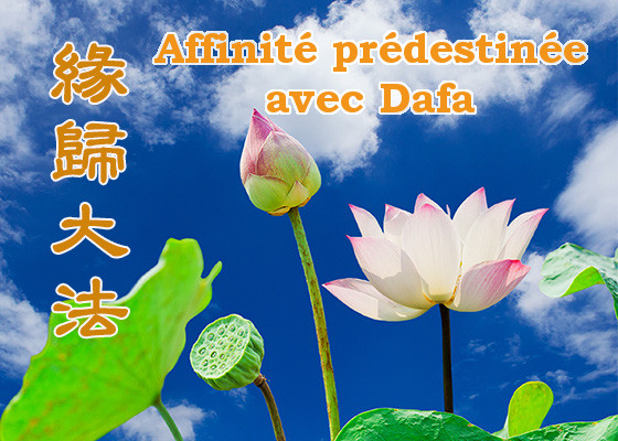 Image for article [Célébrer la Journée mondiale du Falun Dafa] Mon père âgé de 88 ans sensibilise constamment les gens au sujet du Falun Dafa