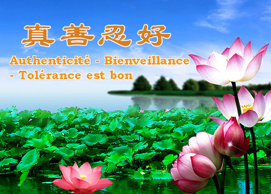 Image for article Les amis et les parents qui soutiennent le Falun Dafa restent en sécurité pendant la pandémie