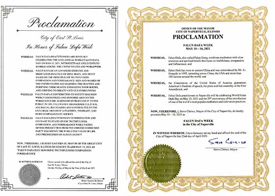 Image for article Illinois : Deux villes émettent des proclamations pour célébrer la Journée mondiale du Falun Dafa