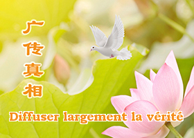 Image for article [Célébrer la Journée mondiale du Falun Dafa] Récit de démissions du PCC : « Je vous ai enfin trouvée »