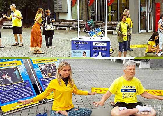 Image for article « Vous êtes tous de vrais combattants » : Les Slovaques signent une pétition de soutien au Falun Dafa