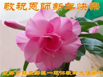 Image for article Des pratiquants de Falun Dafa dans le système éducatif  souhaitent respectueusement au vénérable Maître Li Hongzhi une Bonne et Heureuse Année ! (22 vœux)