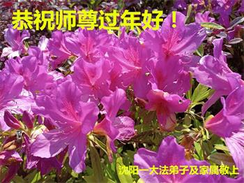 Image for article Les pratiquants de Falun Dafa de la ville de Shenyang souhaitent respectueusement au vénérable Maître Li Hongzhi un bon Nouvel An chinois ! (21 vœux)