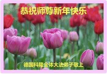 Image for article Les pratiquants de Falun Dafa d'Allemagne, d'Autriche et des Pays-Bas souhaitent respectueusement au vénérable Maître Li Hongzhi un bon Nouvel An chinois ! 