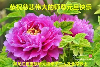 Image for article Les pratiquants de Falun Dafa de la province du Heilongjiang souhaitent respectueusement au vénérable Maître Li Hongzhi une Bonne et Heureuse Année ! (19 vœux)