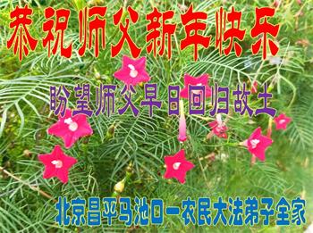 Image for article Des pratiquants de Falun Dafa des régions rurales en Chine souhaitent à Maître Li Hongzhi une Bonne et Heureuse Année (26 vœux)