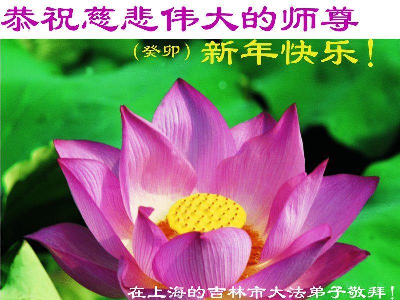 Image for article Les pratiquants de Falun Dafa de Shanghai souhaitent respectueusement au vénérable Maître Li Hongzhi un bon Nouvel An chinois ! (18 vœux)
