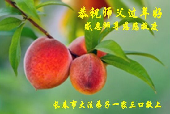 Image for article Les pratiquants de Falun Dafa de la ville de Changchun souhaitent respectueusement au vénérable Maître Li Hongzhi un bon Nouvel An chinois ! (24 vœux)