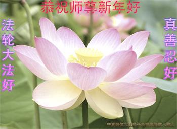 Image for article Les pratiquants de Falun Dafa de la région autonome du Ningxia Hui en Chine souhaitent respectueusement au vénérable Maître Li Hongzhi un bon Nouvel An chinois ! (19 vœux)