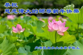 Image for article Les pratiquants de Falun Dafa des États-Unis souhaitent respectueusement au vénérable Maître Li Hongzhi un bon Nouvel An chinois !