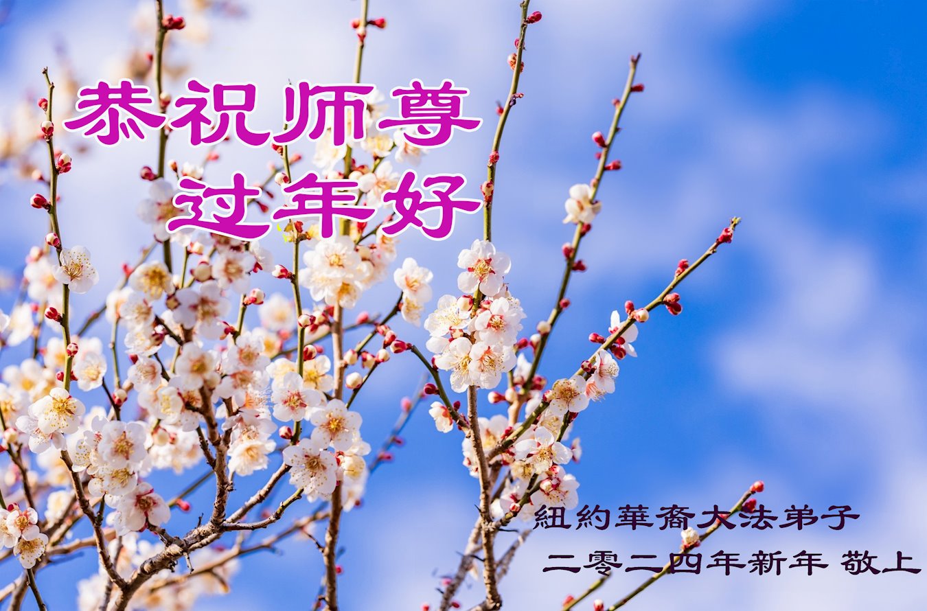 Image for article Les pratiquants de Falun Dafa dans la région de New York souhaitent respectueusement au vénérable Maître Li Hongzhi un bon Nouvel An chinois