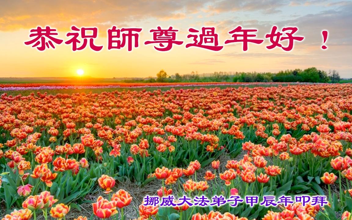 Image for article Les pratiquants de Falun Dafa du Danemark, de Suède, de Norvège et d'Italie souhaitent respectueusement au vénérable Maître Li Hongzhi un bon Nouvel An chinois !