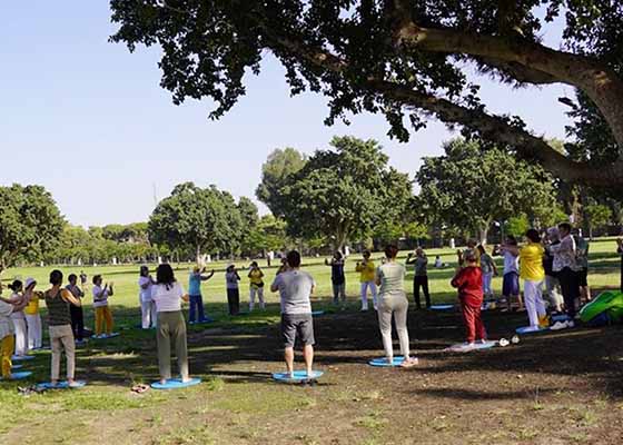 Image for article Israël : Présenter le Falun Dafa au National Park