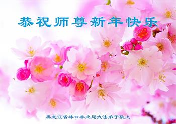 Image for article Les pratiquants de Falun Dafa de diverses professions en Chine souhaitent respectueusement au vénérable Maître Li Hongzhi une Bonne et Heureuse Année ! (29 vœux)