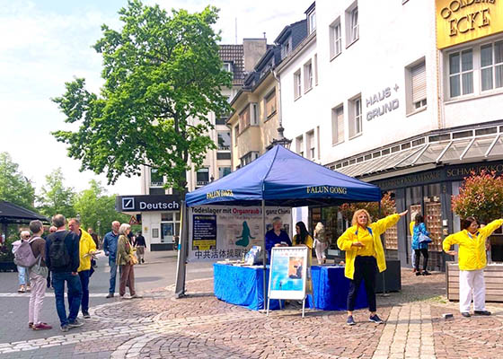 Image for article Siegburg, Allemagne : Authenticité, Bienveillance et Tolérance résonnent dans le cœur des habitants de la région