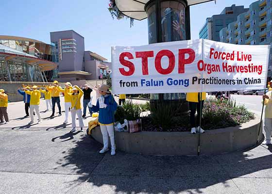 Image for article Les médecins présents au Congrès mondial sur la transplantation condamnent le prélèvement d’organes sur des personnes vivantes en Chine