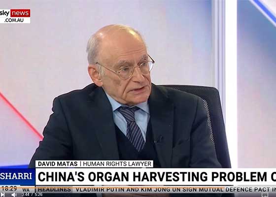 Image for article Une radio australienne interviewe David Matas sur les prélèvements forcés d’organes et la répression transnationale par le PCC